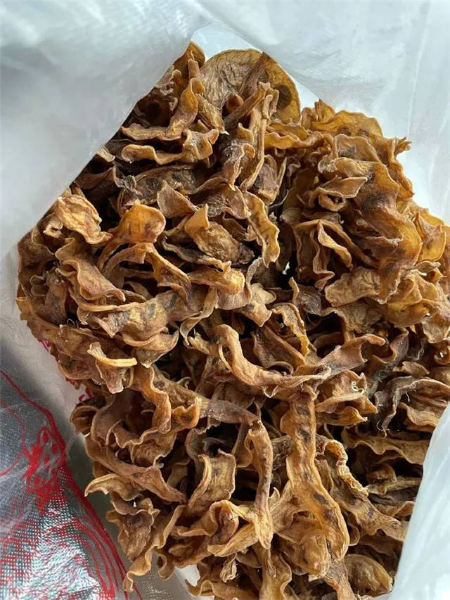 微信图片_20220211141109.jpg