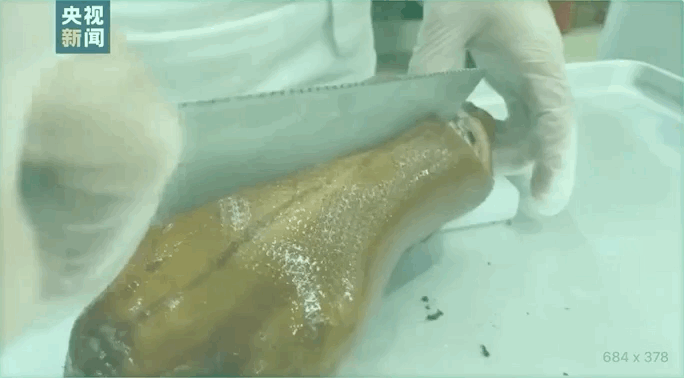 1644818178571.gif 1644818178571.gif