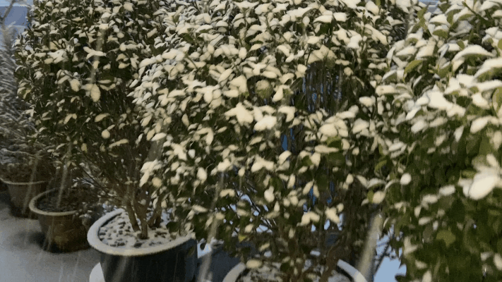 1644820255553.gif 1644820255553.gif