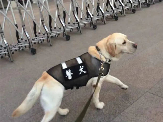 1645858594043.jpg 微信图片_20220226145559.jpg