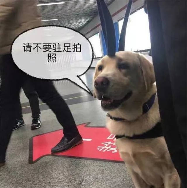 1645858628687.jpg 微信图片_20220226145605.jpg