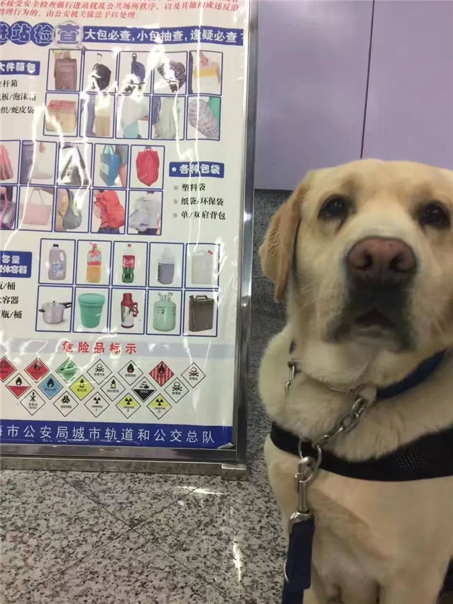 1645858657204.jpg 微信图片_20220226145608.jpg