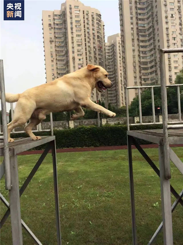 1645858675775.jpg 微信图片_20220226145611.jpg