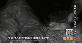 1646451273344.gif 1646451273344.gif