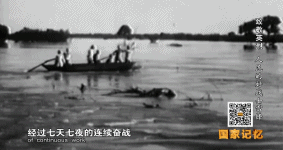 1646451371951.gif 1646451371951.gif