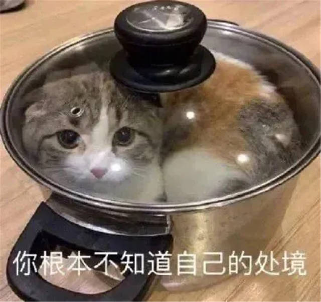 1646807459466.jpg 1646807459466.jpg