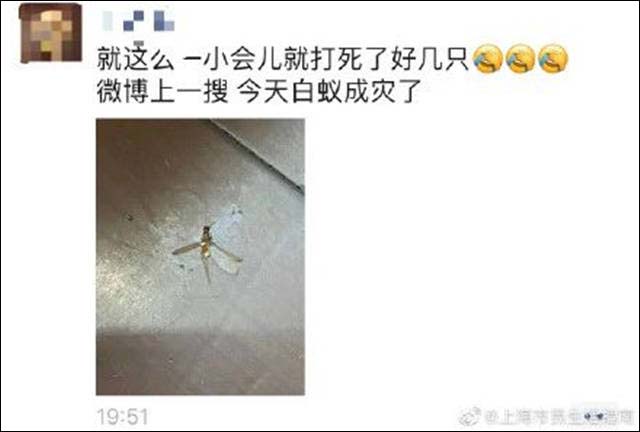 1653989292983.jpg 微信图片_20220531170701.jpg
