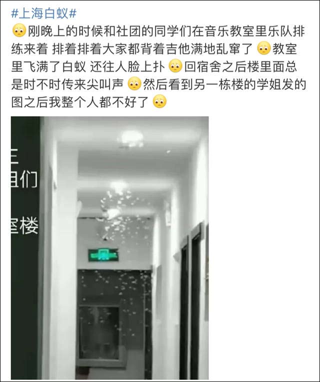 1653989395295.jpg 微信图片_20220531170712.jpg