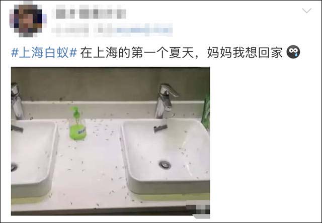 1653989419928.jpg 微信图片_20220531170717.jpg