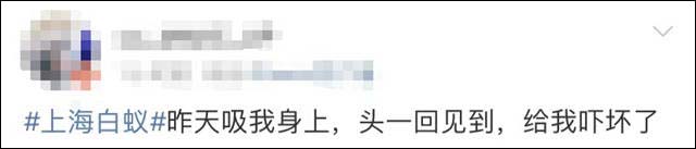 1653989443109.jpg 微信图片_20220531170722.jpg
