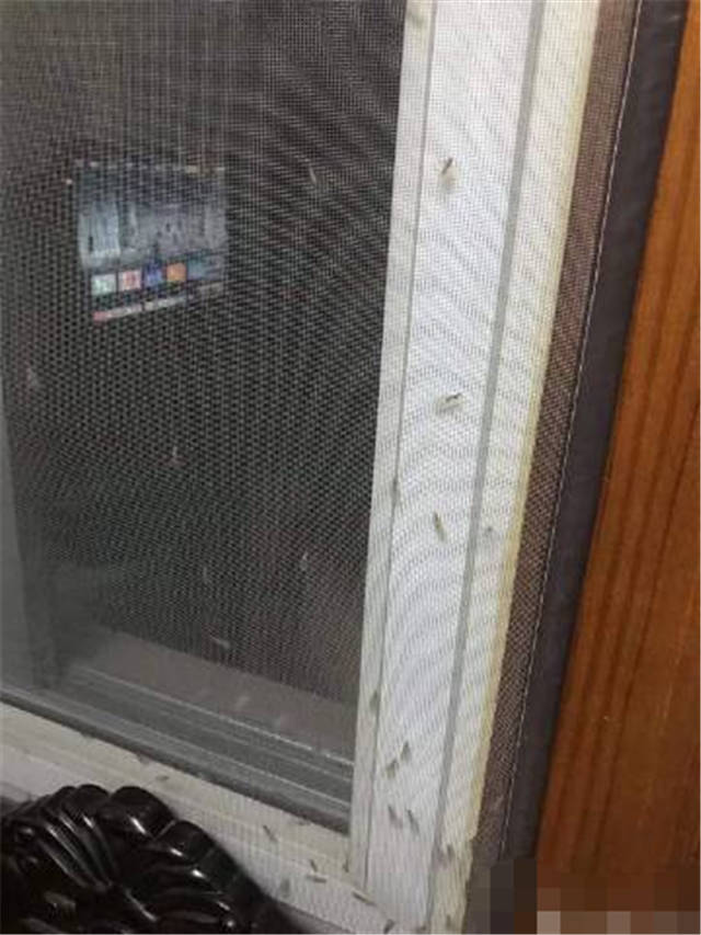1653989510508.jpg 微信图片_20220531170733.jpg