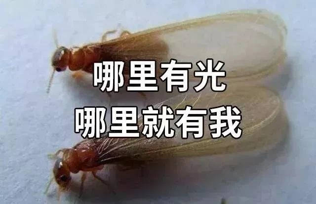 1653989575501.jpg 微信图片_20220531170738.jpg