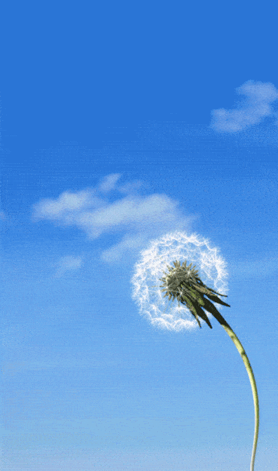 1655004765943.gif 微信图片_20220612112734.gif