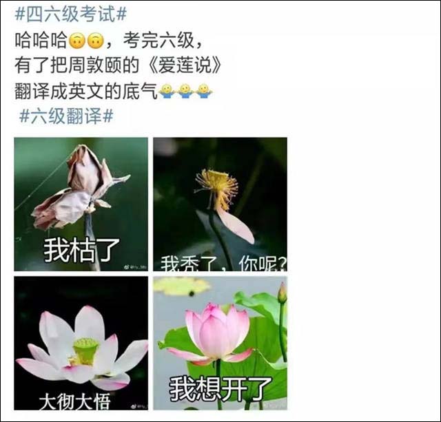 1655264627118.jpg 微信图片_20220614155430.jpg