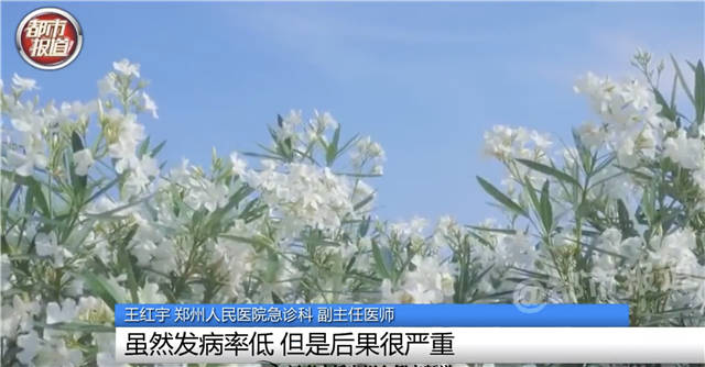 1655362772634.jpg 微信图片_20220616145005.jpg