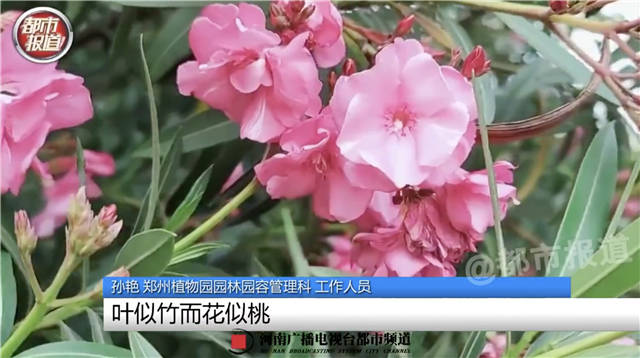 1655362834209.jpg 微信图片_20220616145012.jpg