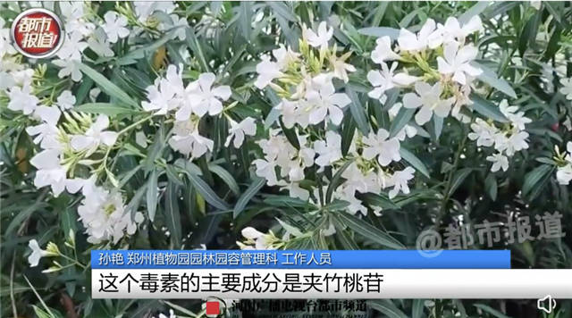 1655362856366.jpg 微信图片_20220616145016.jpg