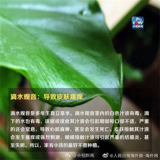1655363016777.jpg 微信图片_20220616145051.jpg