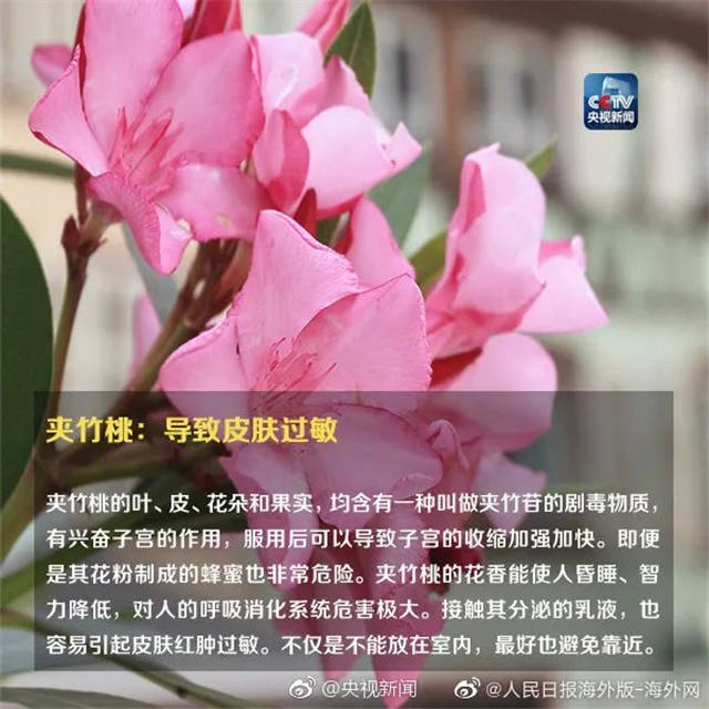 1655363026824.jpg 微信图片_20220616145058.jpg