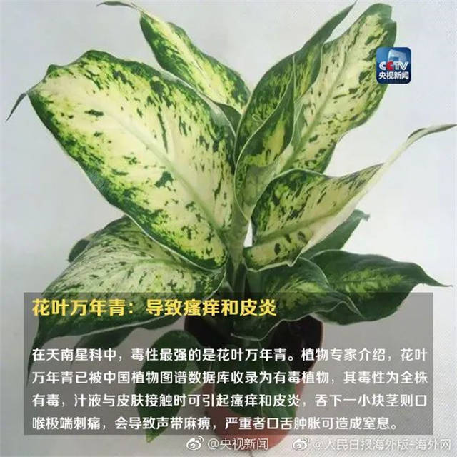 1655363036973.jpg 微信图片_20220616145102.jpg