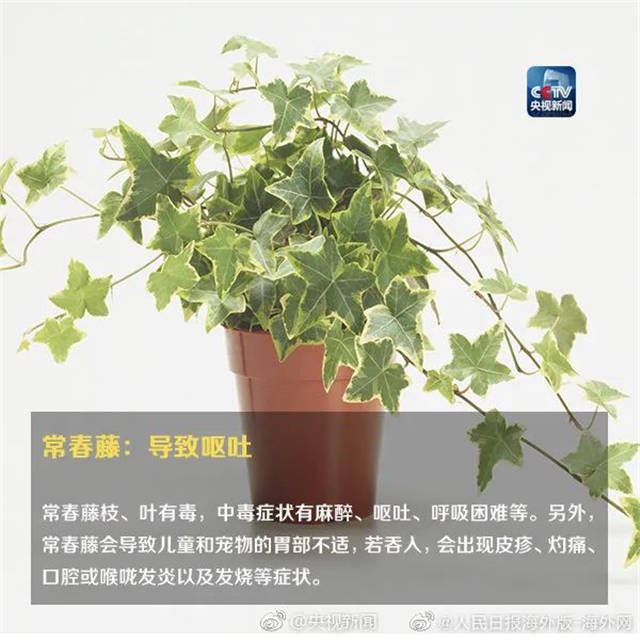 1655363046238.jpg 微信图片_20220616145107.jpg