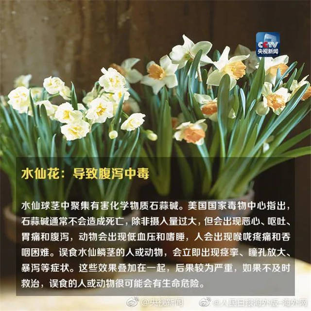 1655363067838.jpg 微信图片_20220616145116.jpg