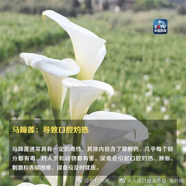 1655363077444.jpg 微信图片_20220616145120.jpg