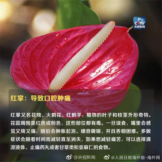 1655363088050.jpg 微信图片_20220616145125.jpg