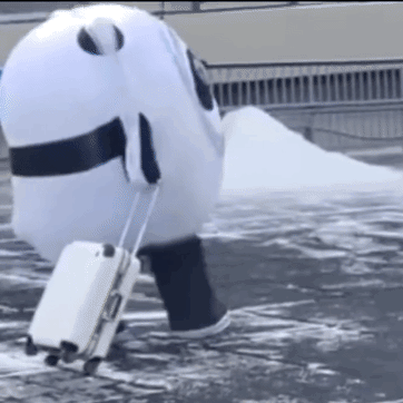 1656655728055.gif 1656655728055.gif