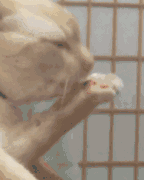1657779572168.gif