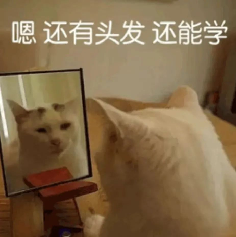 1659164494357.jpg 1659164494357.jpg