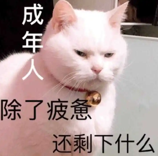 1659420702297.png 1659420702297.png