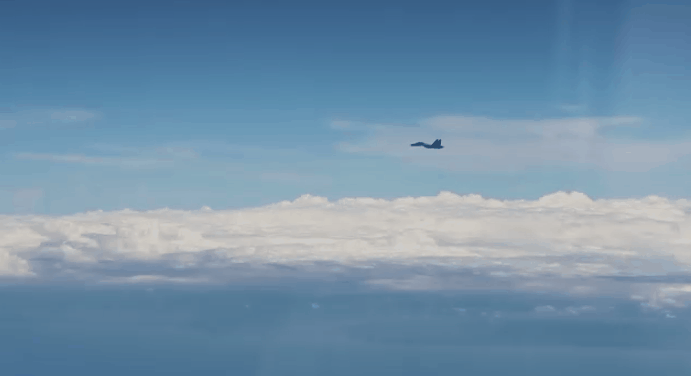 1659685759311.gif 1659685759311.gif