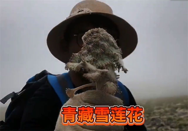 1660633934533.jpg 微信图片_20220816150539.jpg