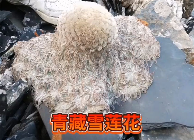 1660633944460.jpg 微信图片_20220816150544.jpg