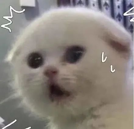 1660885929942.jpg 1660885929942.jpg
