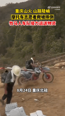 1661579214848.gif 1661579214848.gif