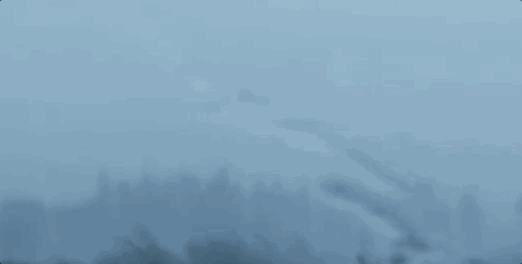 1662442878685.gif 1662442878685.gif