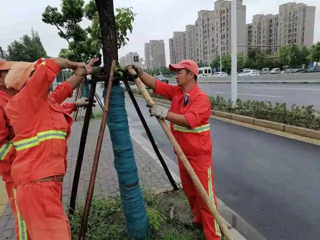 1663210136730.jpg 微信图片_20220915102531.jpg