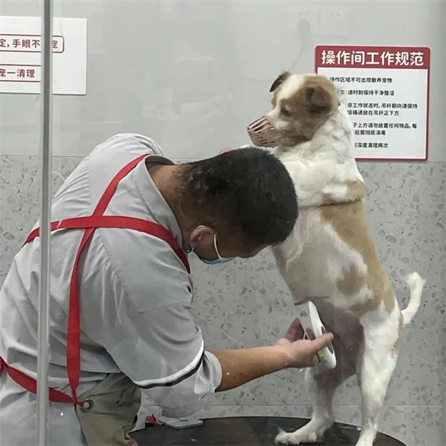 1663660779205.jpg 微信图片_20220920155312.jpg