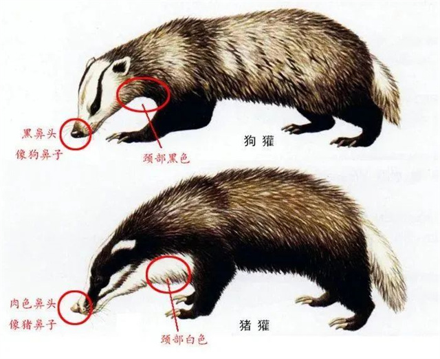 1663904141704.jpg 微信图片_20220923112042.jpg