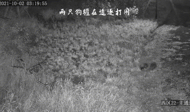 1663904336408.gif 1663904336408.gif