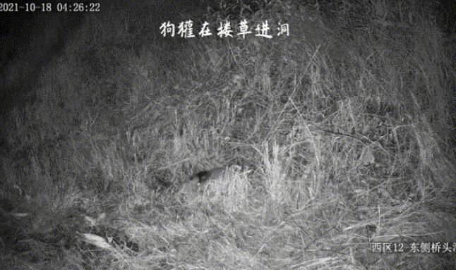1663904341466.gif 1663904341466.gif