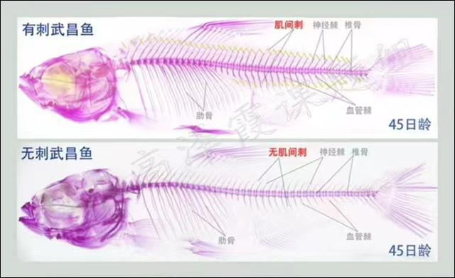 1664342487524.jpg 微信图片_20220928130516.jpg