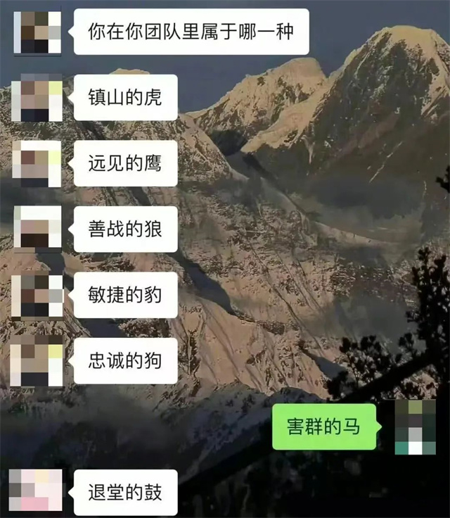1664436354428.jpg 微信图片_20220929145519.jpg
