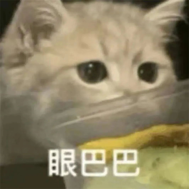 1664436721033.jpg 1664436721033.jpg