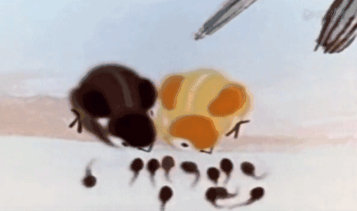 1667721978076.gif 1667721978076.gif
