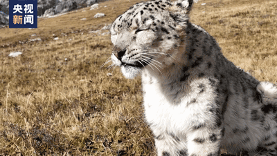 1667889347842.gif