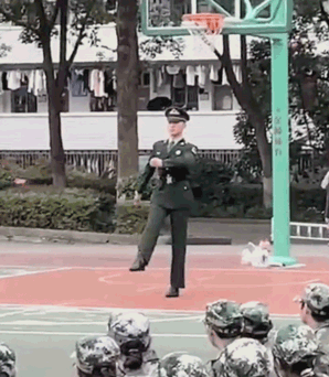 1668058283467.gif