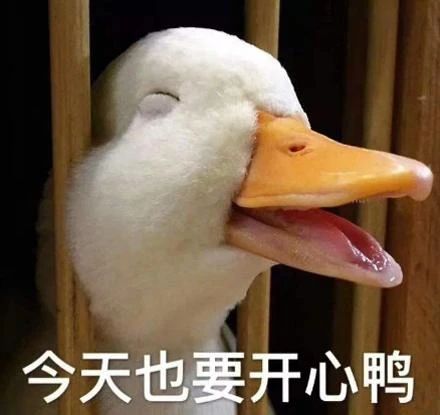 1668670234360.jpg 1668670234360.jpg